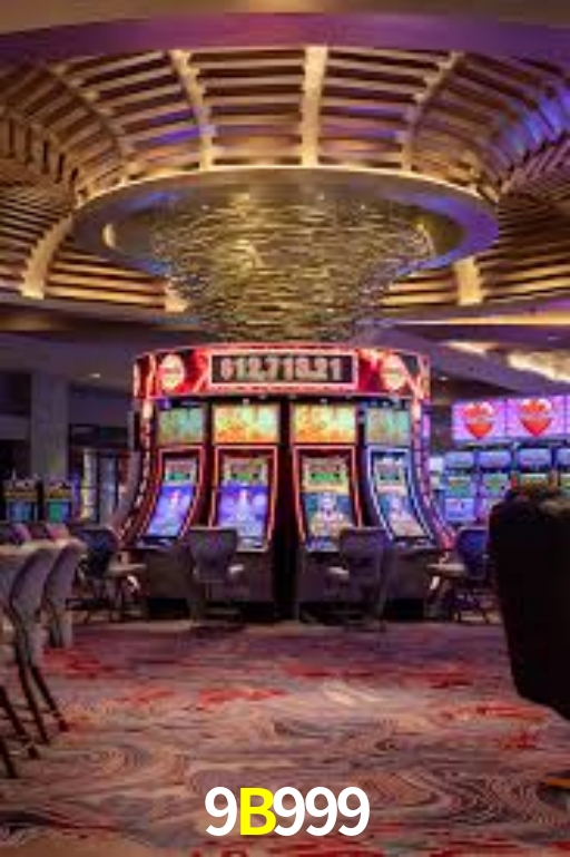 Interface Premium 9B999